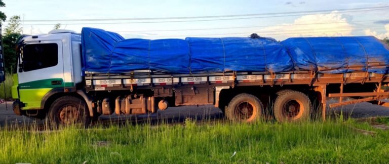 Mais de 24 m³ de madeira ilegal é apreendida em Altamira, no PA