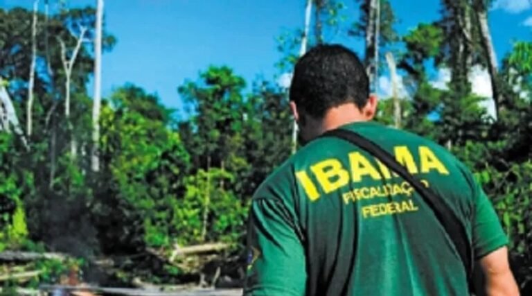 Ibama iniciou operação contra o desmatamento no Estado do Pará