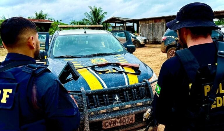 PRF, PF e MPF realizam operação conjunta e apreendem armas e munições em Medicilândia, no PA