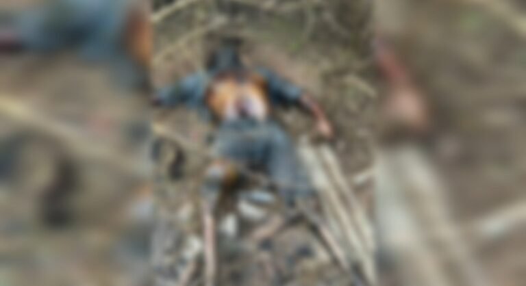 Vídeo: Corpo em avançado estado de decomposição é encontrado em Jacareacanga, no PA