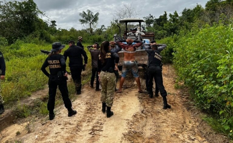 Operação combate extração ilegal de madeira em terra indígena