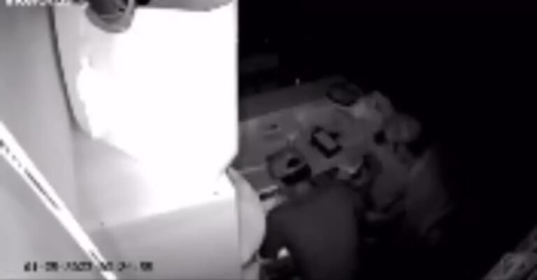 Vídeo mostra momento que dupla furta vários objetos de loja em Itaituba, no PA