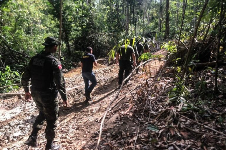 Governador Helder Barbalho declara emergência ambiental em 15 municípios paraenses