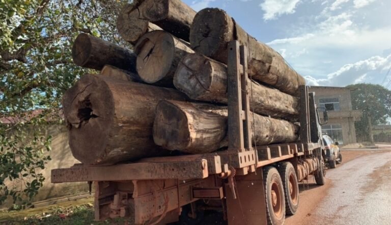 PRF apreende caminhão carregado de madeira ilegal, em Rurópolis