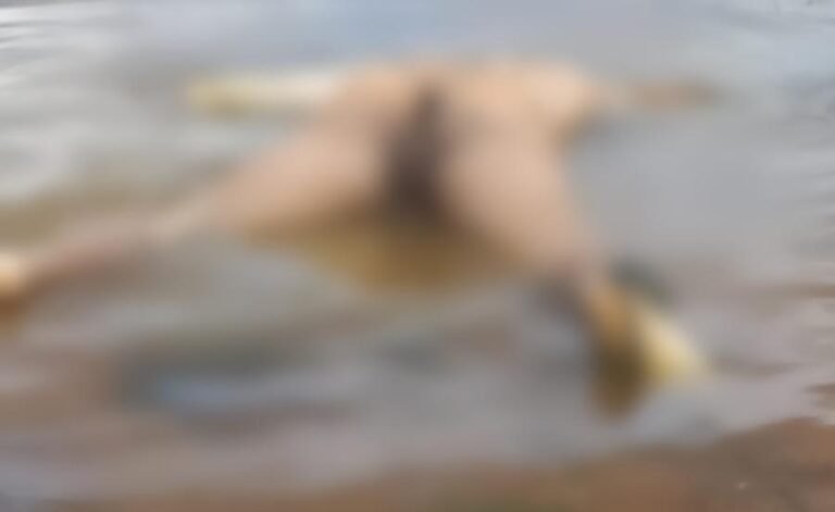 Pescadores encontram corpo de homem flutuando no Rio Tapajós, no distrito de Fordlândia