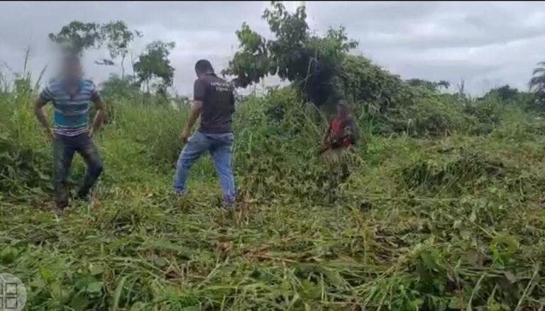 Prefeitura e força de segurança retiram invasores de terra pública no município de Aveiro