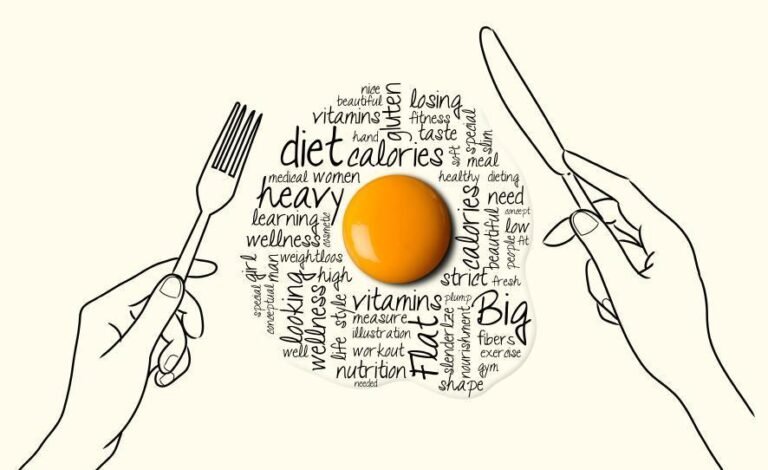 Entenda a verdadeira relação entre o ovo e o colesterol