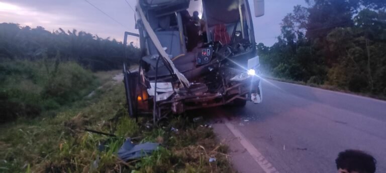 Ônibus colide com carreta e deixa vários feridos