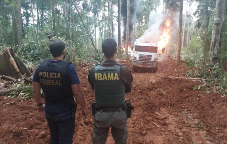 PF desmobiliza extração de madeira ilegal em Anapu