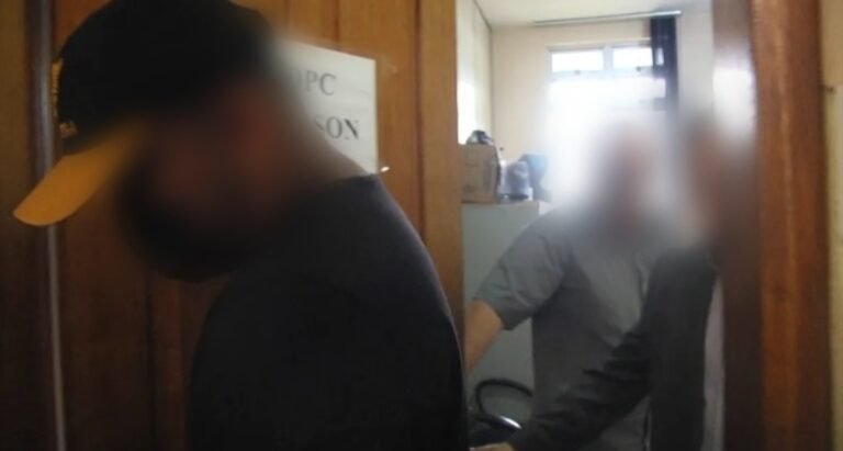 Motorista que atropelou idosa e não prestou socorro se apresenta à polícia