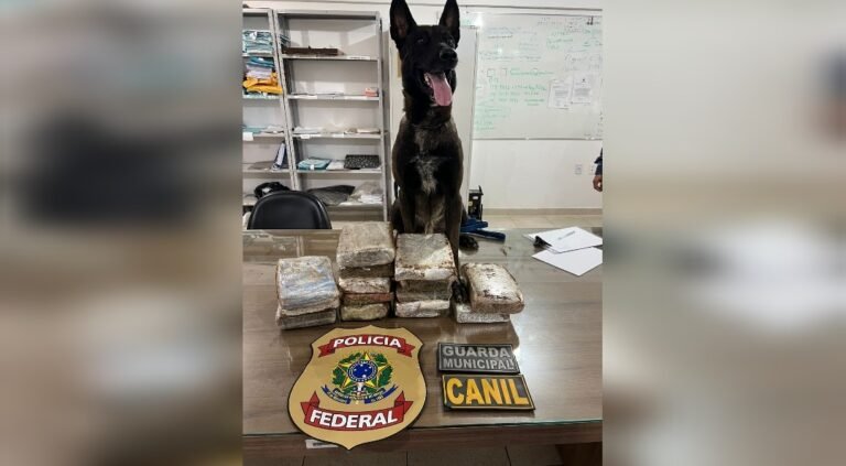 Mulher é presa com 15 quilos de material entorpecente