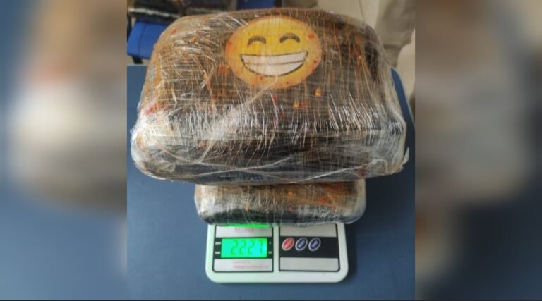 Mulheres são presas transportando maconha em ônibus