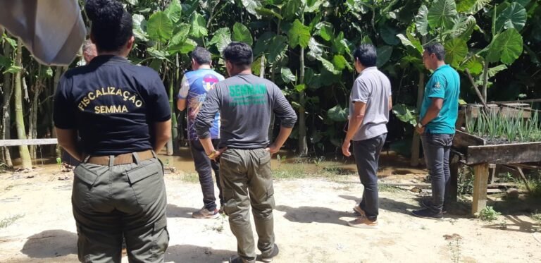 SEMMAM faz visita técnica à moradora de Itaituba que convive com população de jacarés no quintal de sua residência