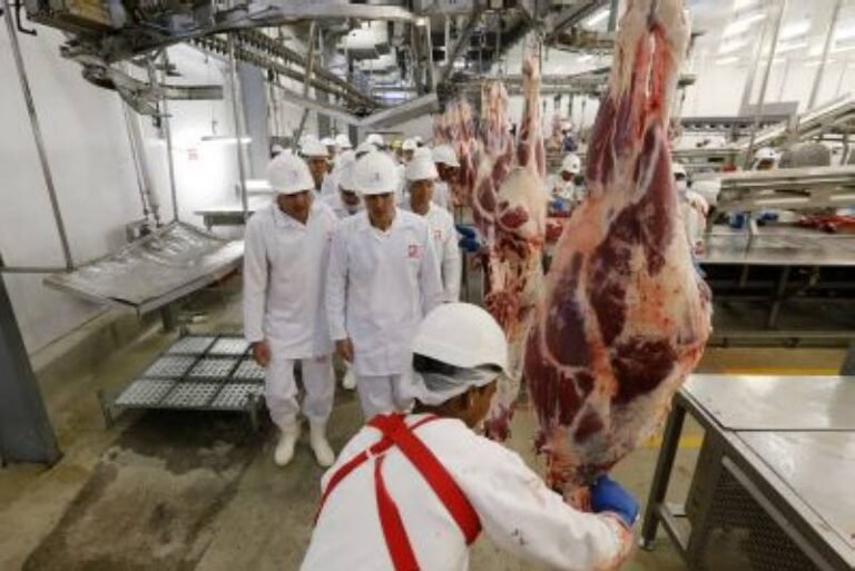 Pará retoma exportação de carnes para a China após ações sanitárias da Adepará