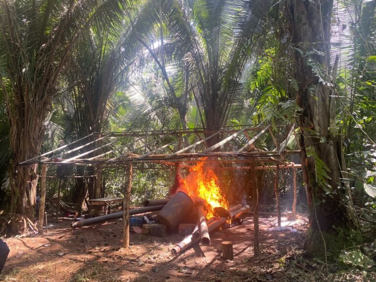 Vídeo: PF, IBAMA e ICMBio desmobilizam garimpos em Parauapebas