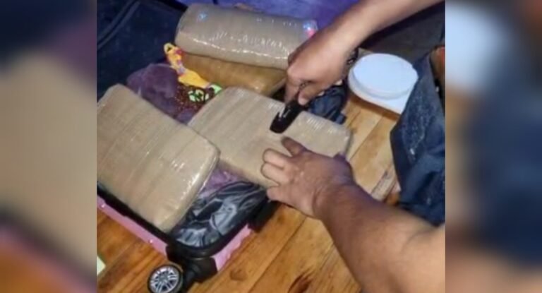 Mulher é presa transportando 6 tabletes de maconha