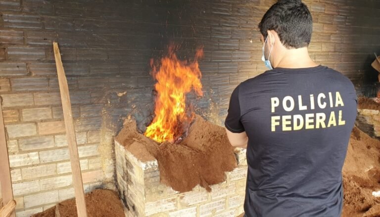 PF destrói drogas apreendidas em Altamira,  no PA