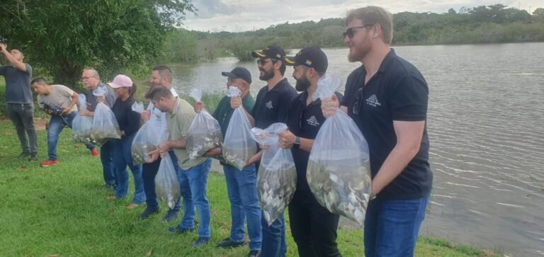 Projeto ‘Boas Práticas do Garimpo Legal’ solta 20 mil alevinos no Rio Tapajós, em Itaituba
