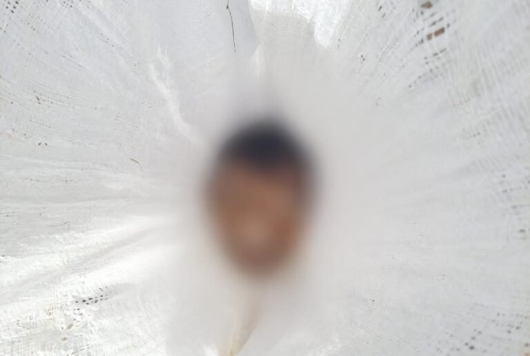 Homem é morto, tem cabeça decepada e jogada dentro de rio