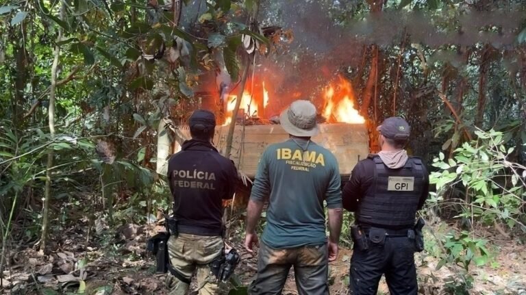 PF desmobiliza garimpos em terra indígena
