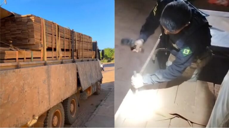 Vídeo: Caminhão de madeira ilegal é apreendido em Itaituba, no PA