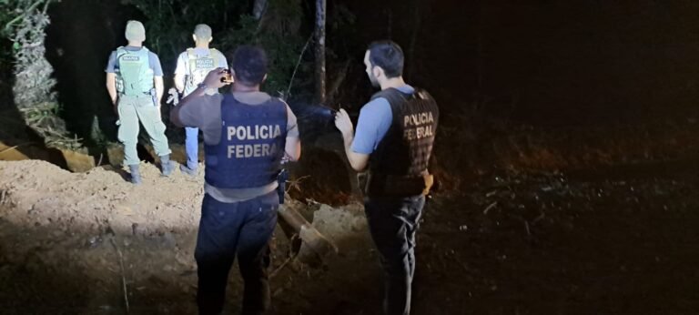 PF inutiliza máquinas usadas em desmatamento ilegal