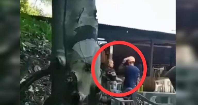 Vídeo: Mulher é atingida por pedaço de madeira durante briga, em região garimpeira de Itaituba