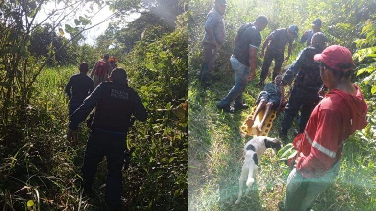 Idoso de 87 anos desaparecido em área de mata é encontrado
