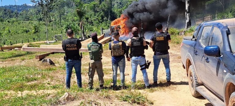 PF flagra extração ilegal de madeira em Terra Indigena