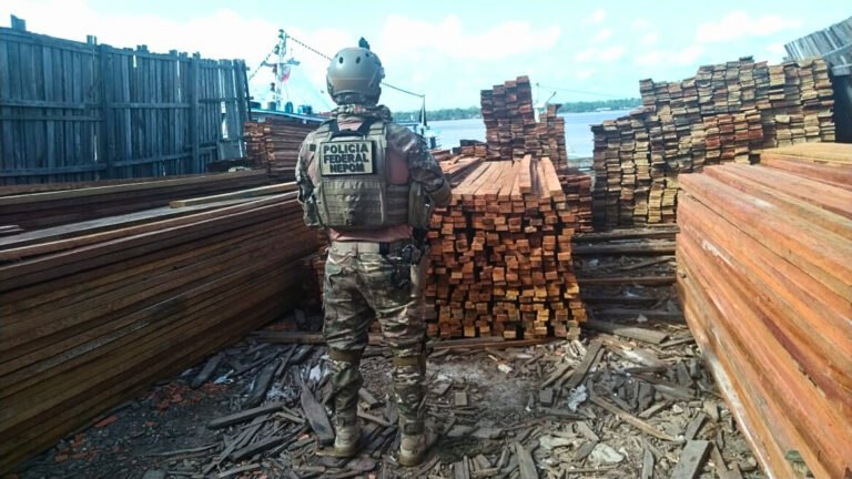 Policia Federal e IBAMA combatem desmatamento na Amazônia