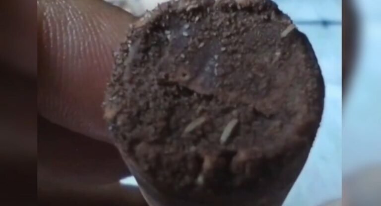 Morador tem uma surpresa desagradável após comprar uma caixa de chocolates da marca Garoto