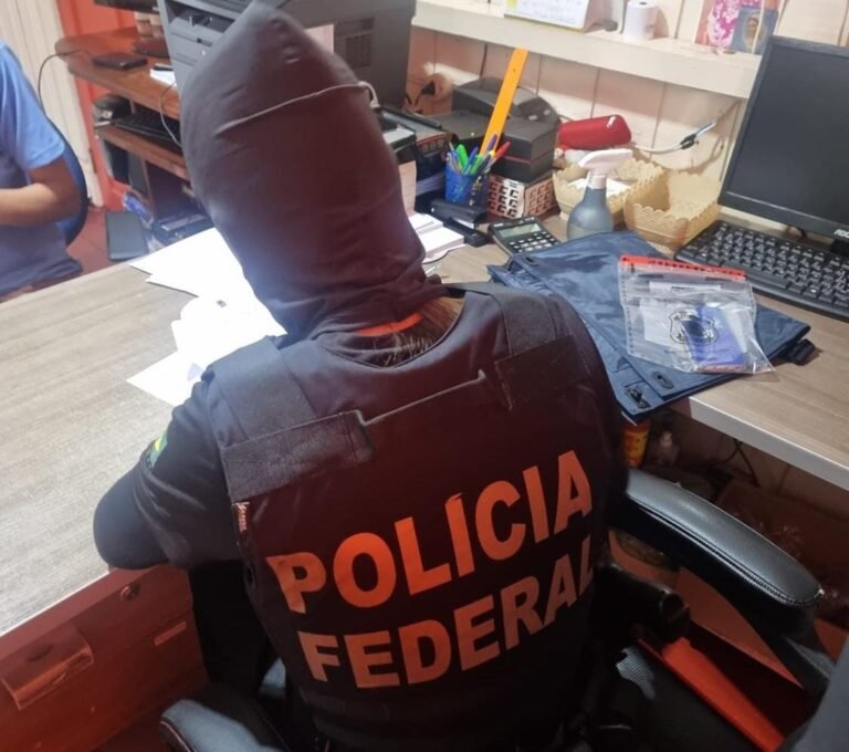 PF desmonta organização criminosa de desmatamento em Anapu, no PA