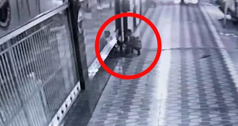 Vídeo: Elemento serra corrente e furta bomba de loja em Itaituba, no PA