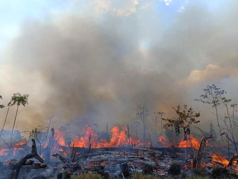 Vários focos de incêndios é registrado em Rurópolis