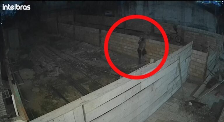 Vídeo: Elemento furta ferro, cimento e uma galinha em Itaituba, no PA