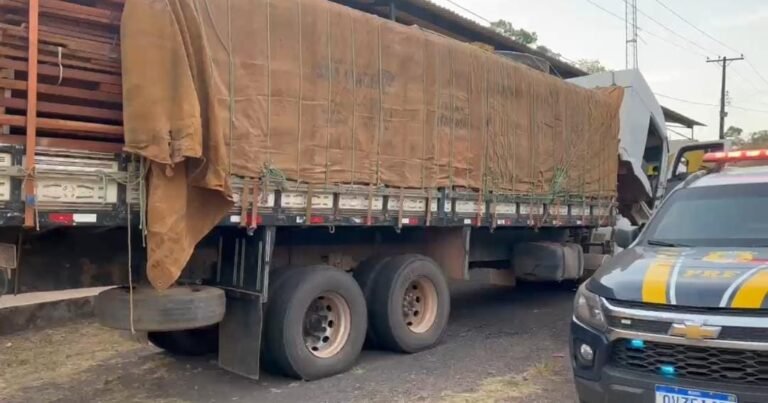 PRF apreende madeira em transporte irregular na BR-163, em Santarém