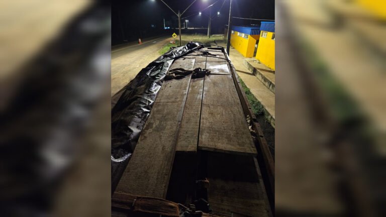 Homem é preso por transporte de madeira ilegal e uso de documento falso em Belterra, no PA