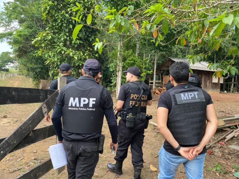 Força-tarefa retira adolescentes de trabalho infantil em fazendas no sudoeste paraense