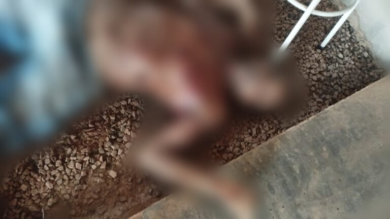 Homem é encontrado morto em fazenda no município de Itaituba, no PA