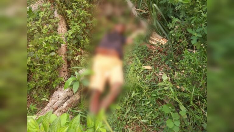 Homem é morto a tiros no km 180 entre Itaituba e Jacareacanga