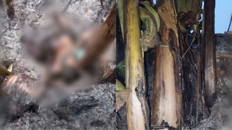 Homem é encontrado carbonizado em área rural no município de Placas, no PA
