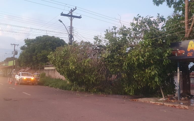 Árvore cai sobre fios de alta tensão em Itaituba