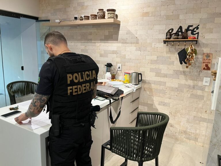 PF combate suspeitos de integrar organização criminosa que provocou o maior desmatamento do bioma amazônico