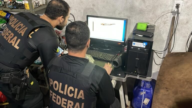 PF prende indivíduo por armazenamento de pornografia infantojuvenil em Ananindeua, no PA