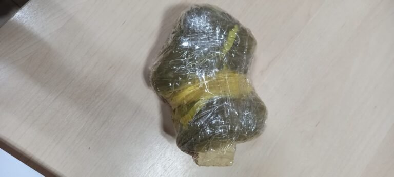 408 gramas de maconha foi apreendida no terminal Rodoviário em Rurópolis