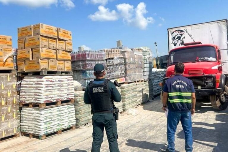Sefa apreende mais de R$1,3 milhão em mercadorias durante 10 dias de operação em Santarém