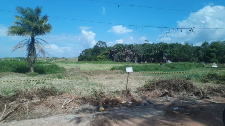Justiça decide reintegração e manutenção de posse de terreno em Itaituba, no PA