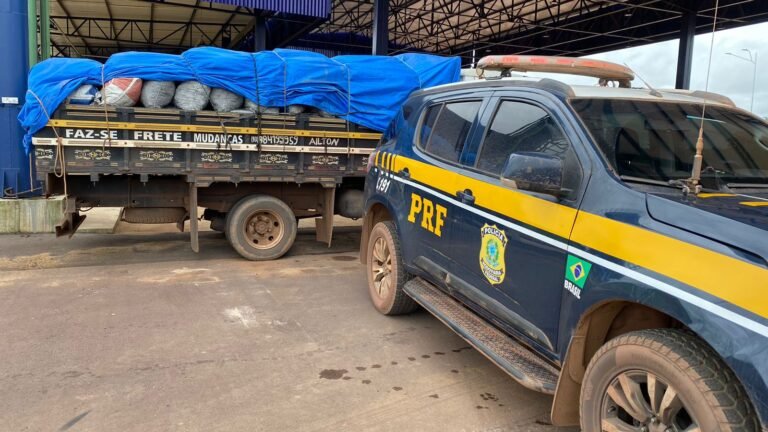 PRF apreende 12m³ de carvão no município de Trairão, no PA