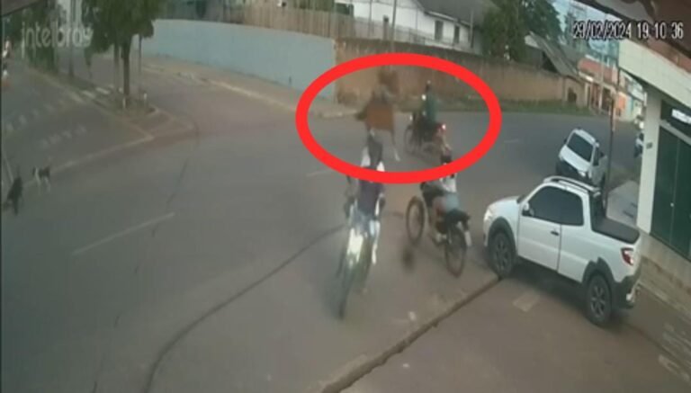 Cavalo corre na contramão e colide contra motoqueiro em Itaituba, no PA
