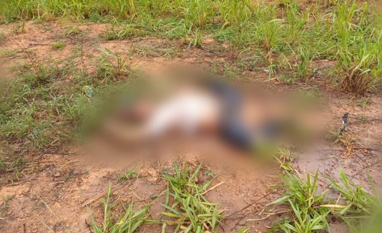 Motociclista morre ao colidir com carreta na BR-230 em Placas, no PA